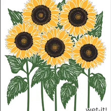 Load image into Gallery viewer, Wet-It Dishcloths