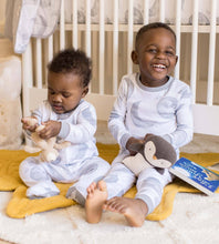 Load image into Gallery viewer, Hello Moon Snug Sleeper Burt’s Bees