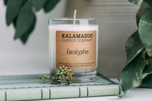 Load image into Gallery viewer, Eucalyptus Candle 9oz Jar