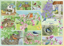 Load image into Gallery viewer, Garden Birds in Spring 500pc puzzle