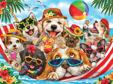Load image into Gallery viewer, Hammock Party 275pc Puzzle