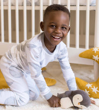 Load image into Gallery viewer, Hello Moon Snug Sleeper Burt’s Bees