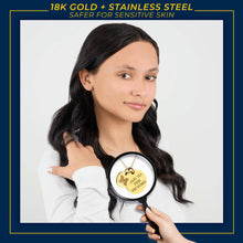 Load image into Gallery viewer, University of Michigan Double Coin Necklace - 18K Gold Dipped