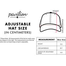 Load image into Gallery viewer, Lake - Blue Adjustable Mesh Hat
