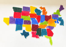 Load image into Gallery viewer, State of Michigan Air Fresheners - Summer Collection
