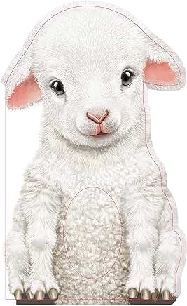 Furry Lamb Book SB