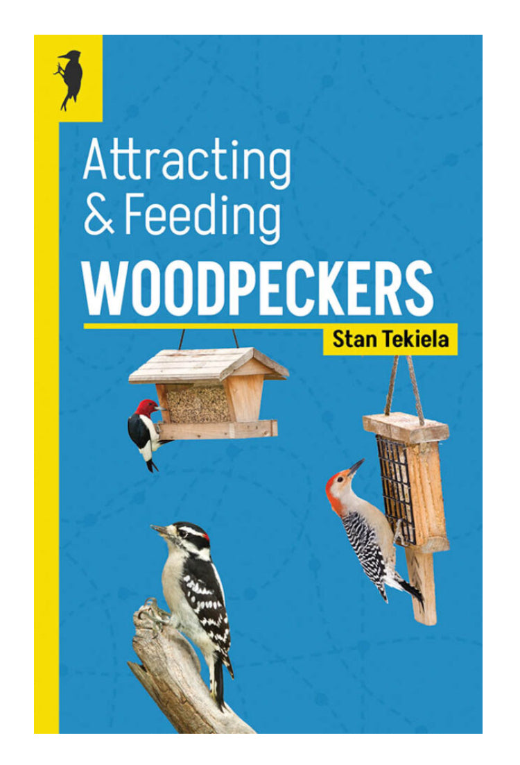 Attracting and Feeding Woodpeckers