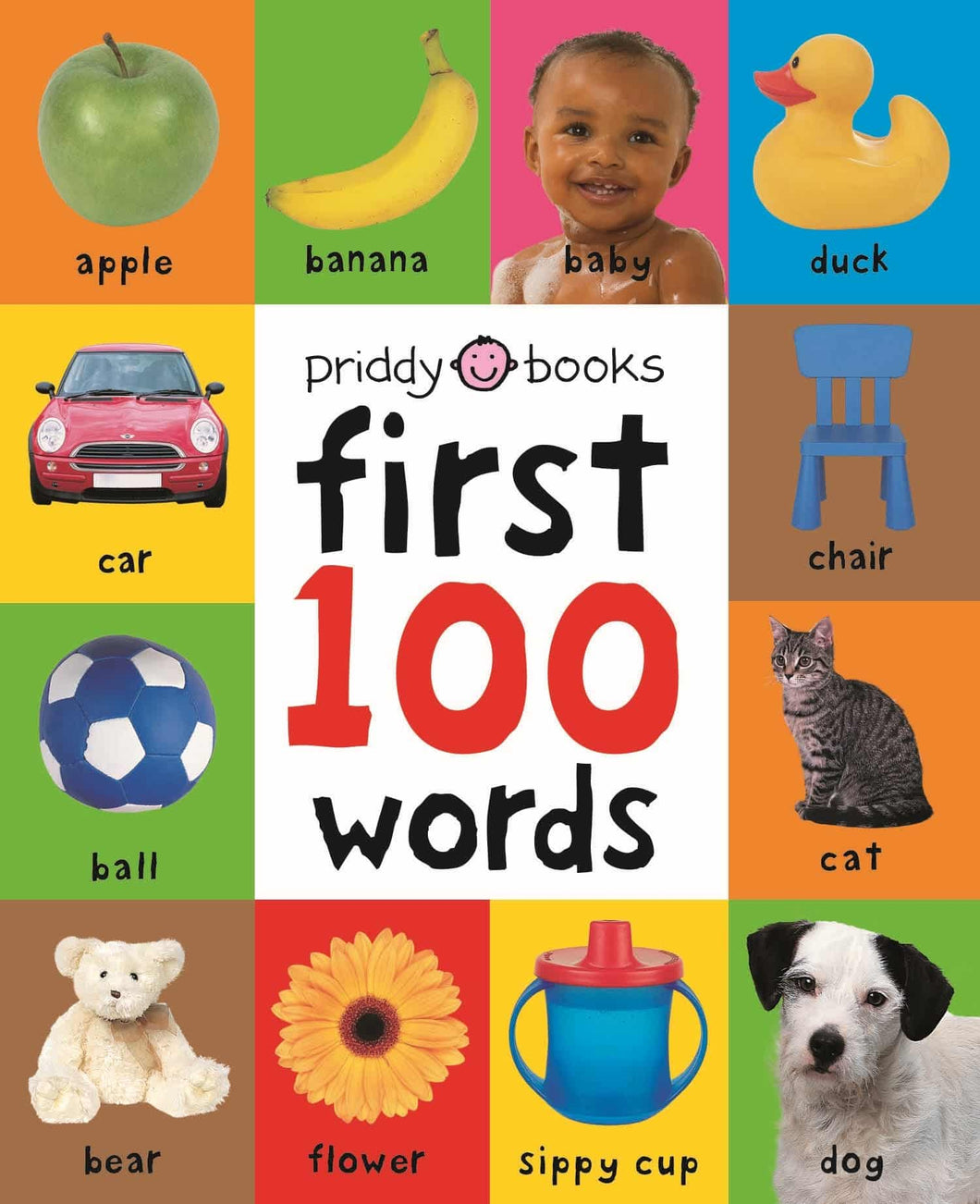 First 100 Words Book MAC