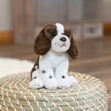 Load image into Gallery viewer, Springer Spaniel Beanbag
