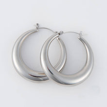 Load image into Gallery viewer, Narelle Waterproof Round Hoop Earrings as
