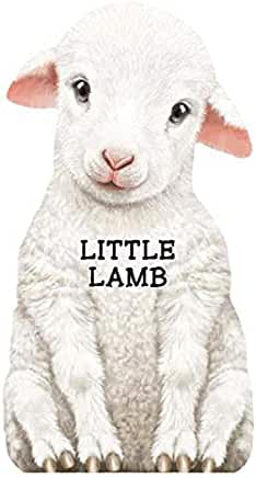 Little Lamb Book SB