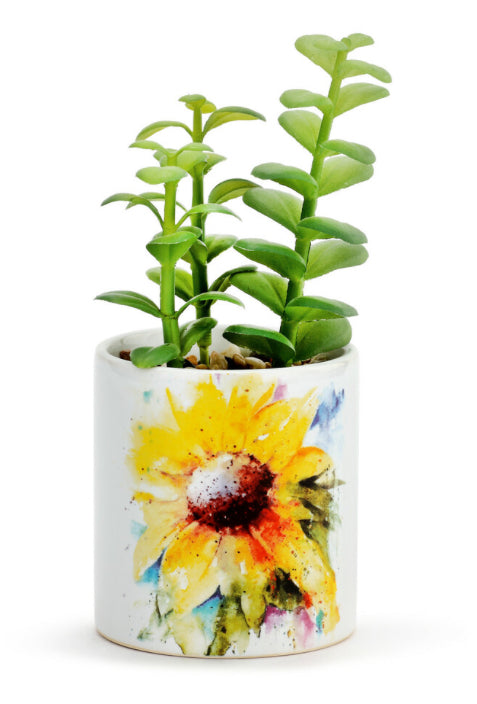 Dean Crouser Succulent Sunflower