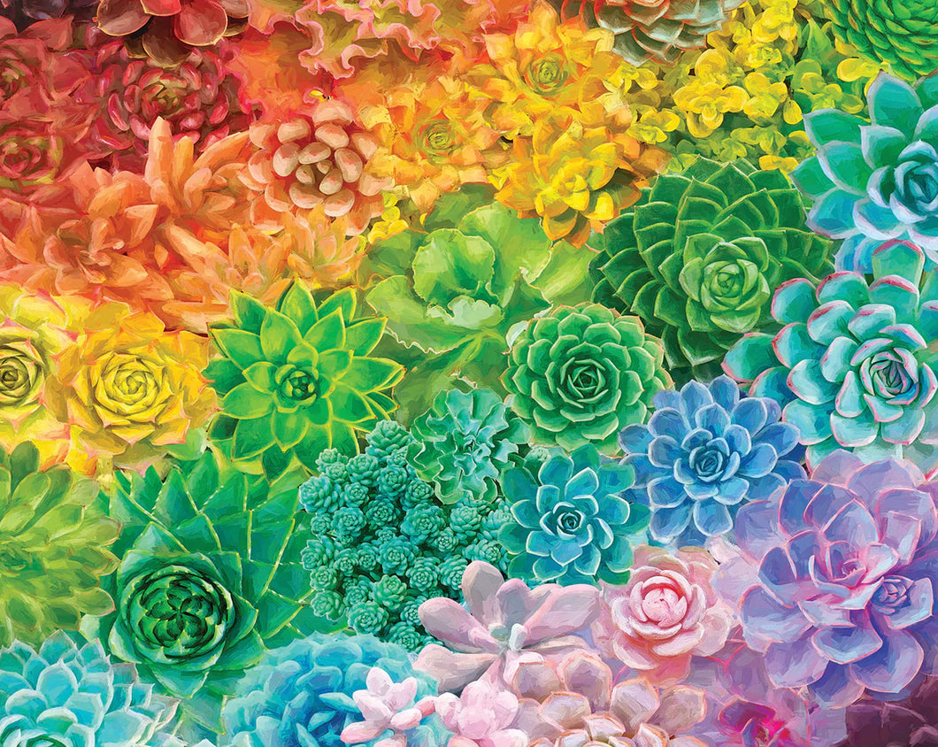 Succulent Rainbow 1000 pc Puzzle